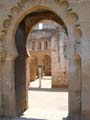 rabat garden 012